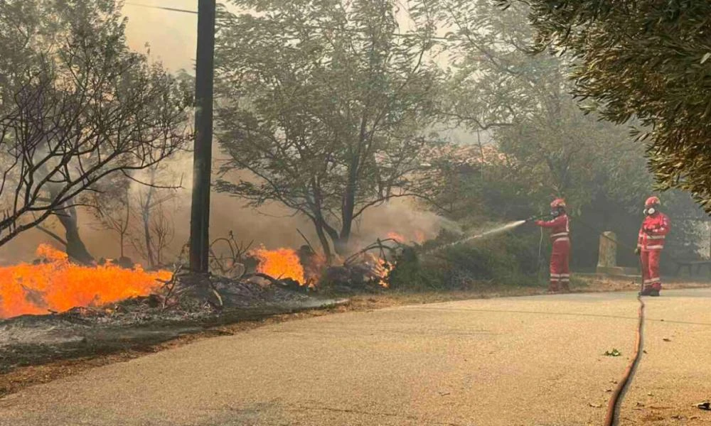 Φωτιά σε δασική έκταση στη Σαμοθράκη (βίντεο)